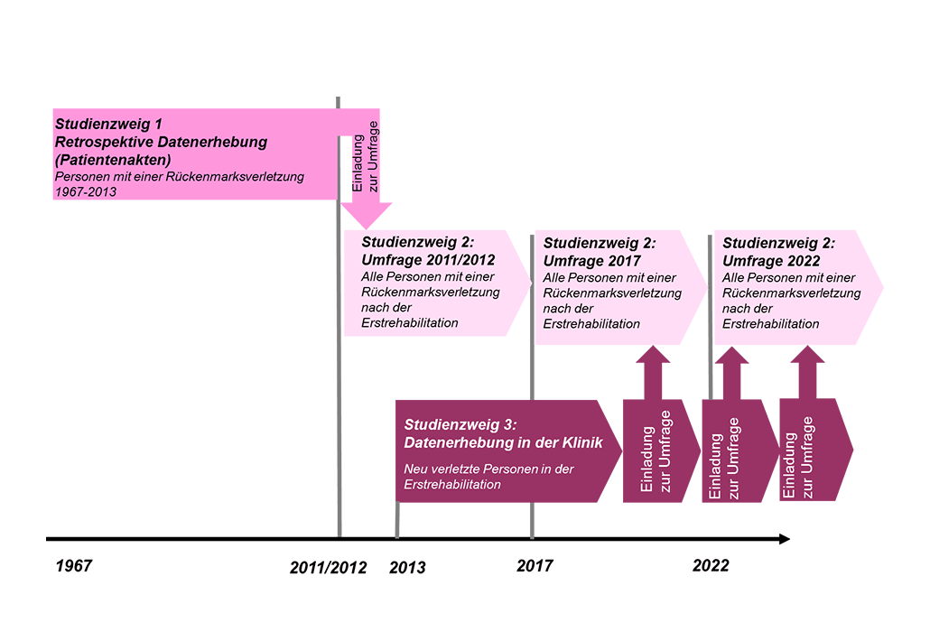 Studienzweige SwiSCI Schweizer Paraplegiker-Forschung