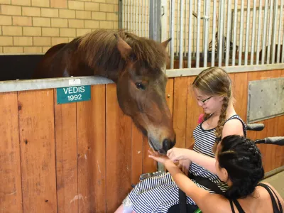 hippo-_reittherapie_Orte der Hoffnung