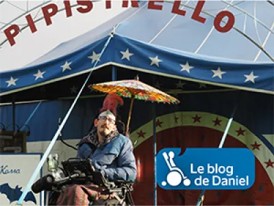 Circoline Pipistrello