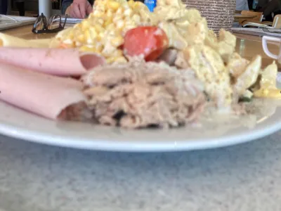 blog-vera-sparkragen.