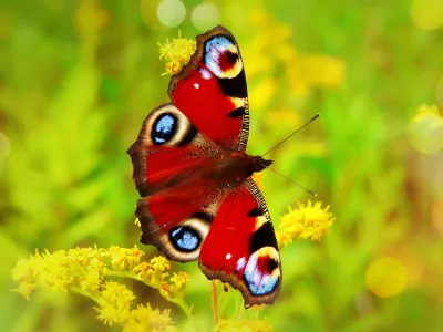 kleine_weisheit_Orte der Hoffnung