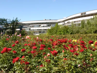 Rosengeschenke_Orte der Hoffnung