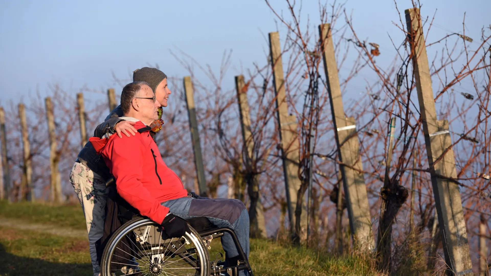 An elderly man in a wheelchair and a woman are looking together towards a vineyard.