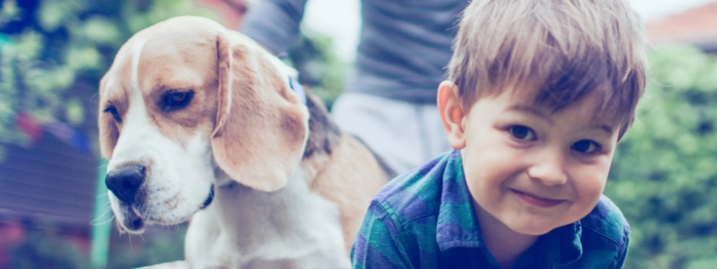 A man pushes a wheelbarrow through the garden. A laughing child and a dog are sitting in it. 
