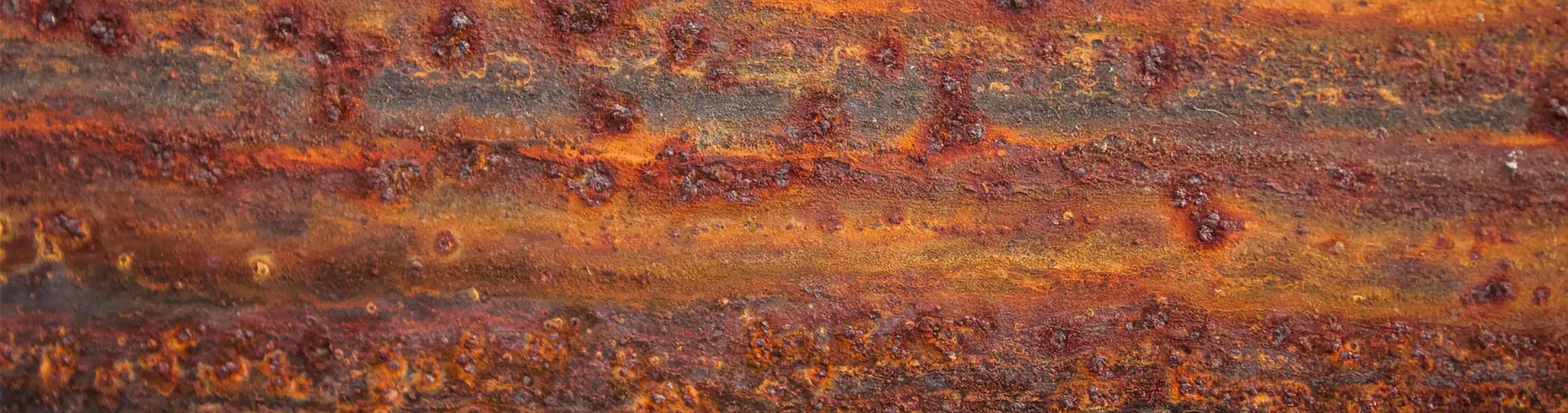 titelbild-odh