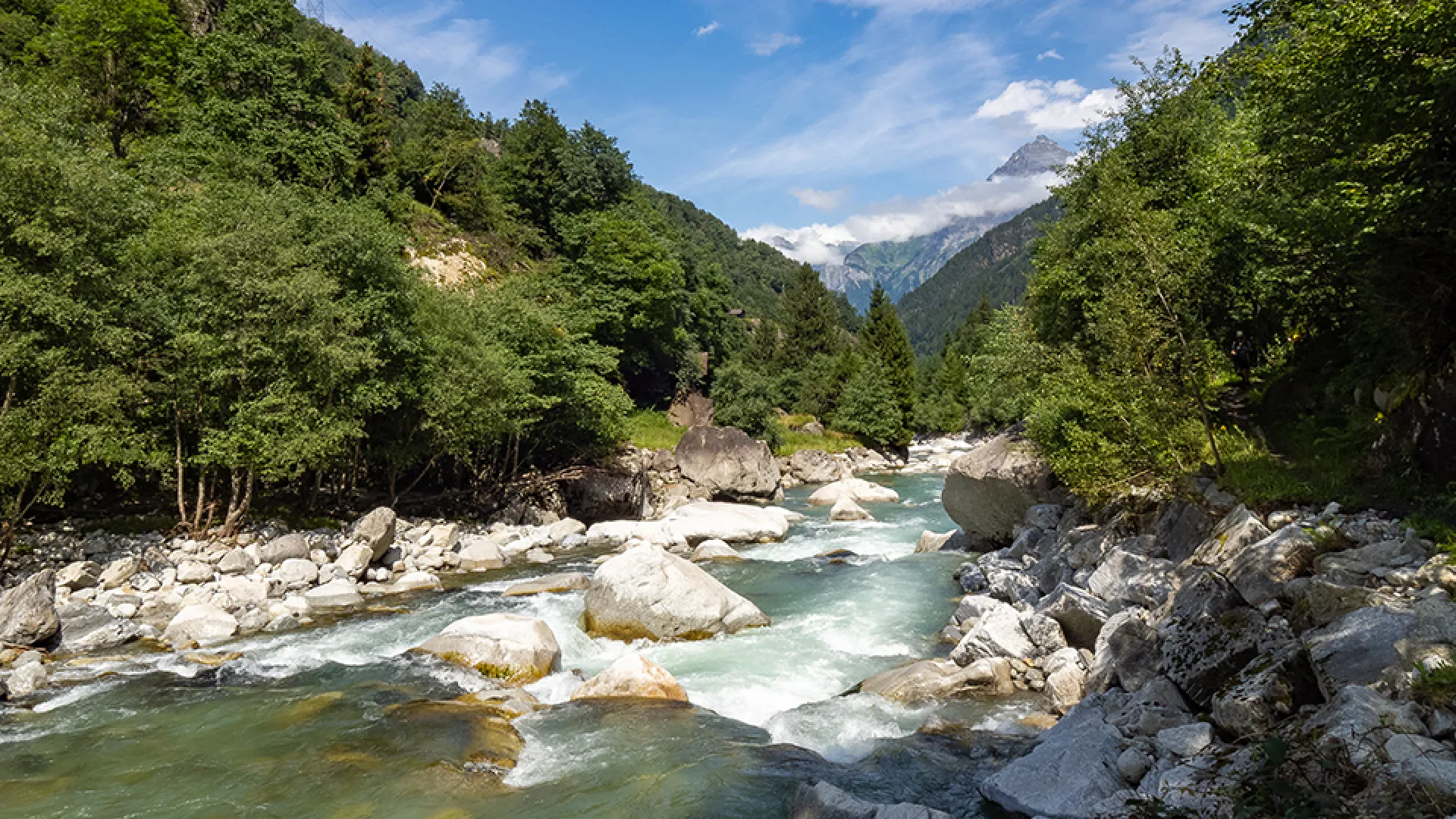 Wanderland Schweiz - ein Wildbach von Wald eingerahmt.