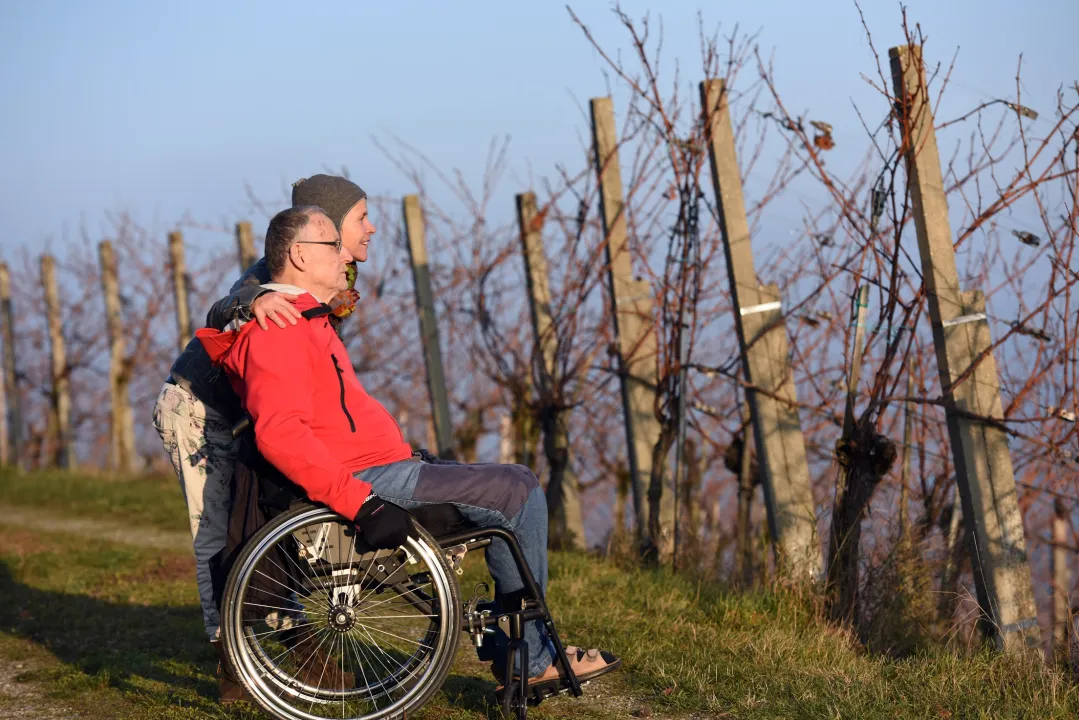 An elderly man in a wheelchair and a woman are looking together towards a vineyard.