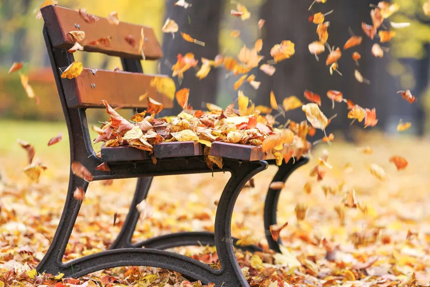 Sitzbank mit verwelkten Blättern