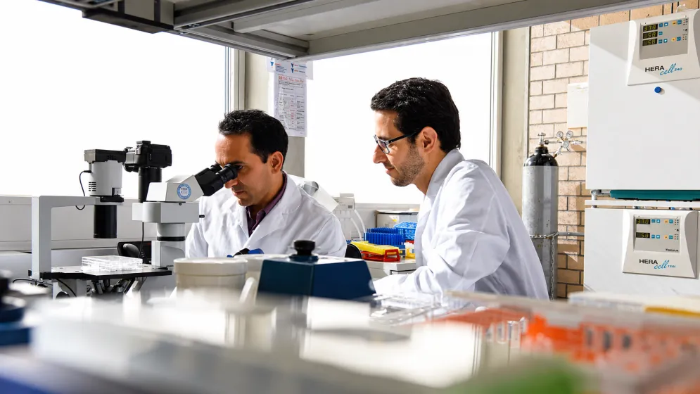 Two scientists in white lab coats working with microscopes in a laboratory