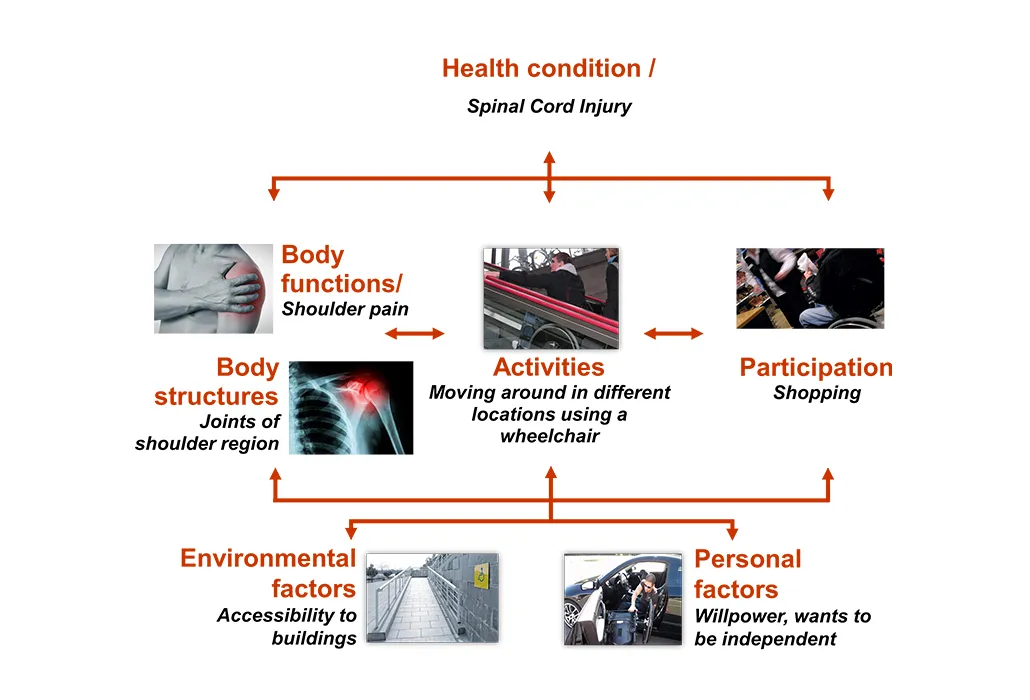 Glossasry ICF Swiss Paraplegic Research