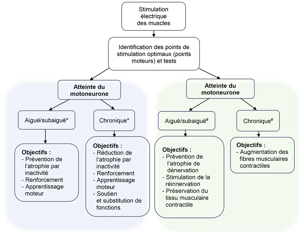 stimulation électrique fonctionnelle