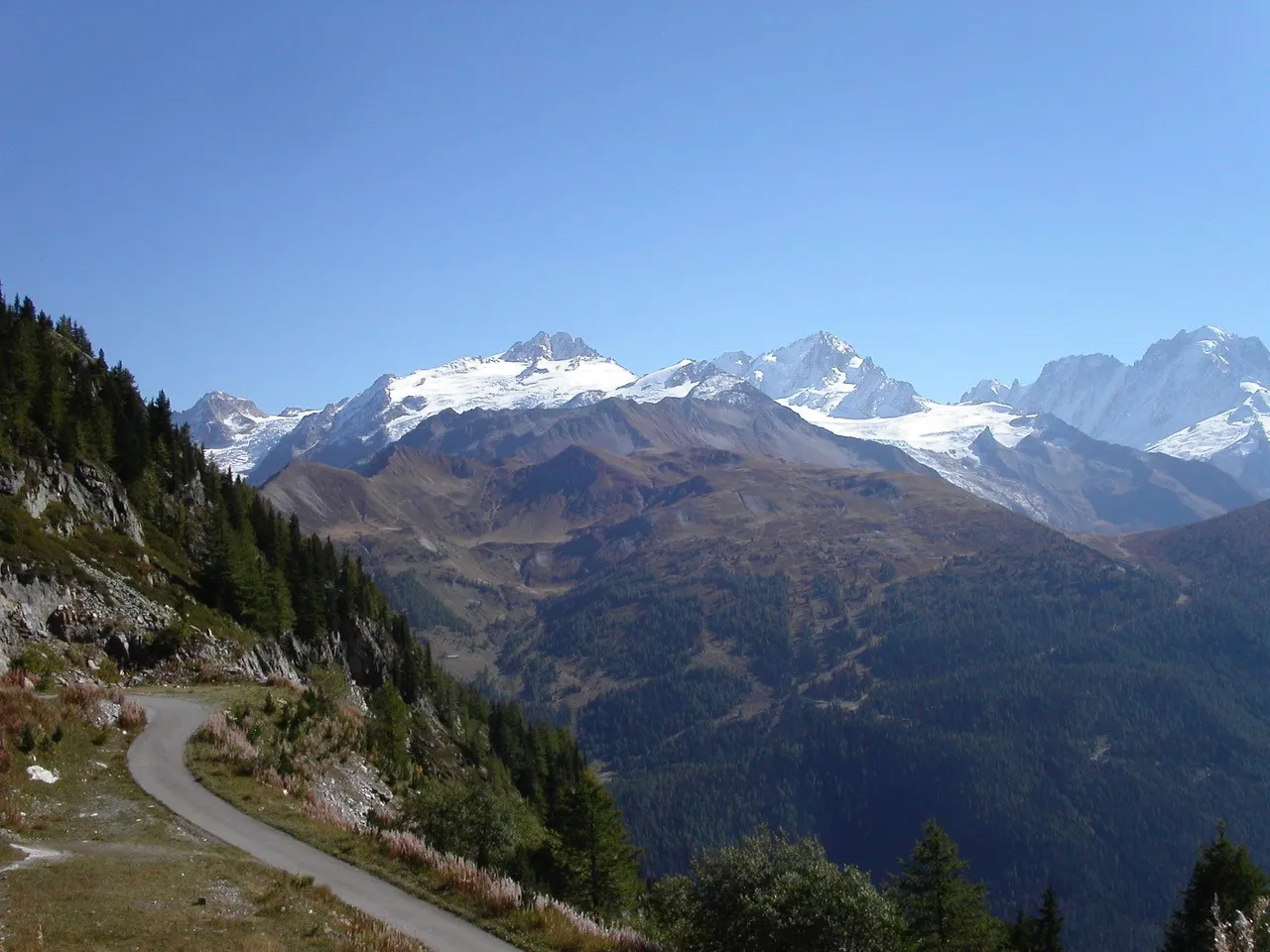 monte