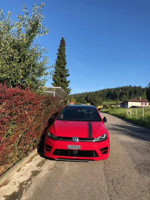 Roter Sportwagen auf einer sonnigen Landstraße, umgeben von grüner Vegetation.