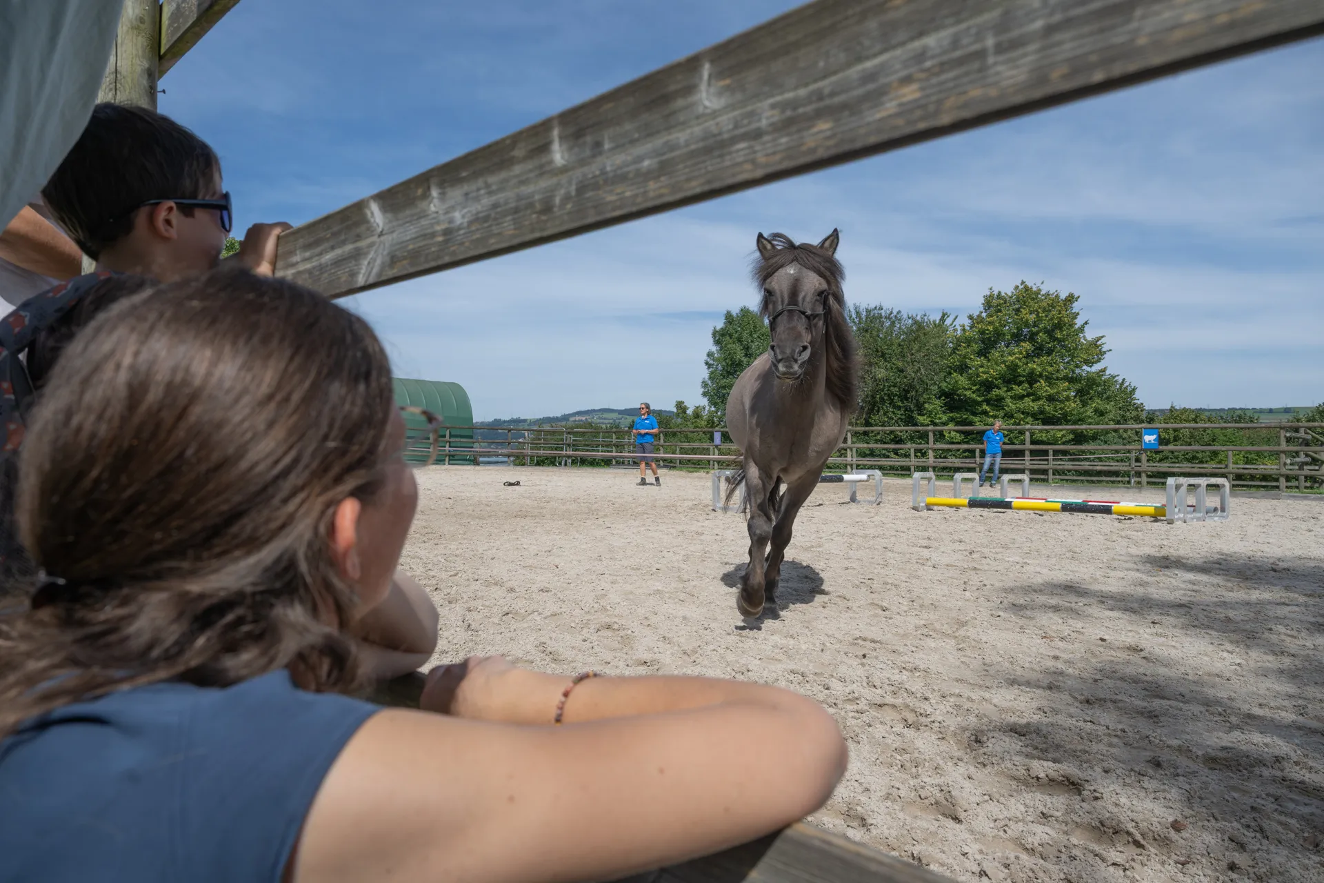 Besucherinnen beobachten, wie ein Pferd über den Sandplatz läuft.