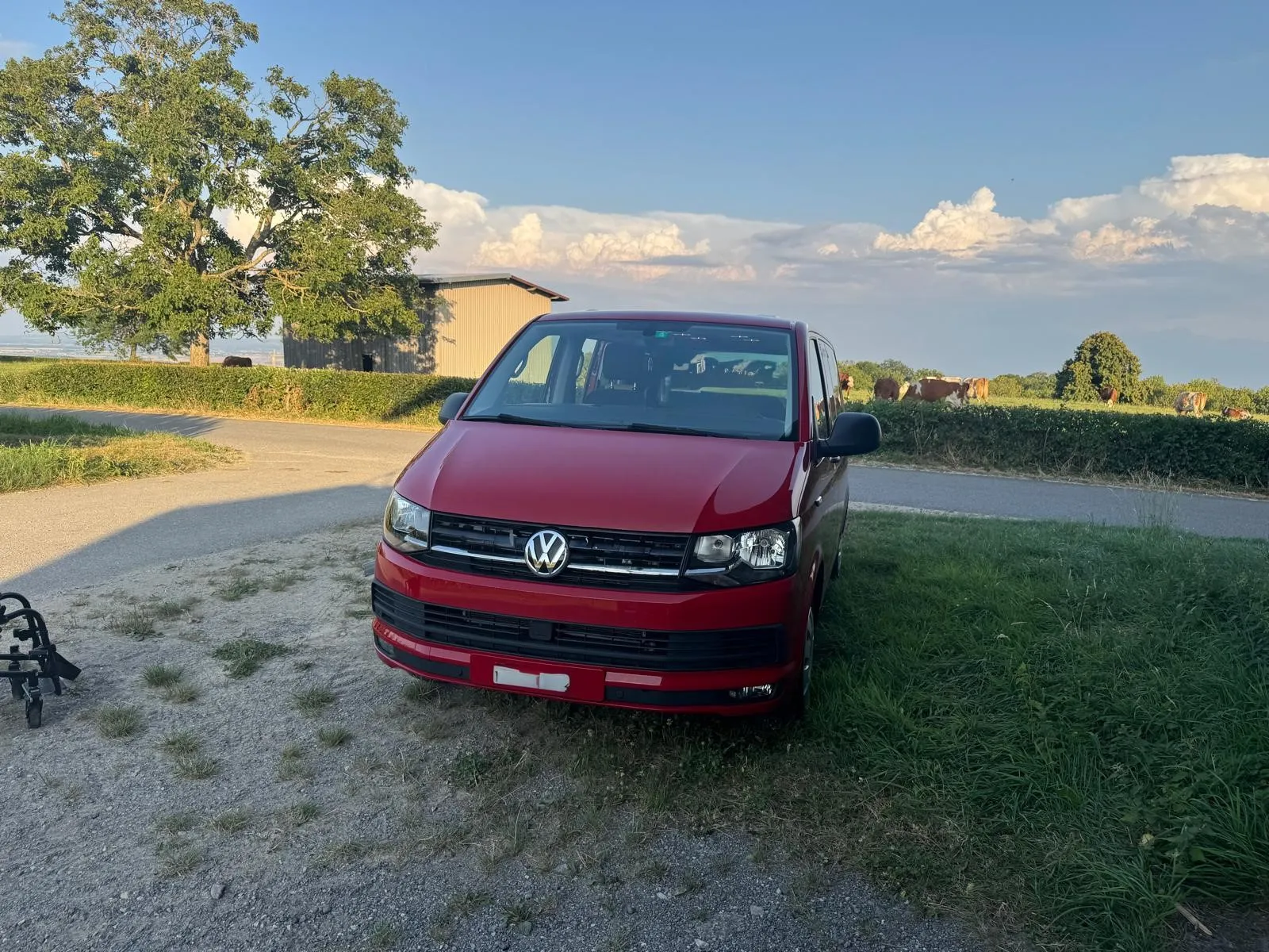 Roter VW-Transporter auf einem Feldweg, im Hintergrund Bäume und blauer Himmel.
