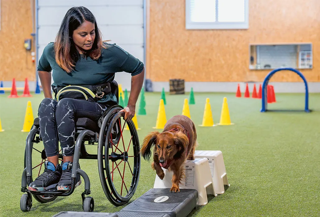 Alexandra Helbling mit ihrem Hund in der Hundeschule, der Hund läuft über ein Hindernis.