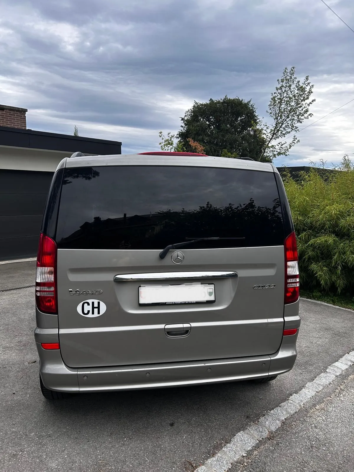 Grauer Kleinbus auf Parkplatz vor bewölktem Himmel und grüner Landschaft.