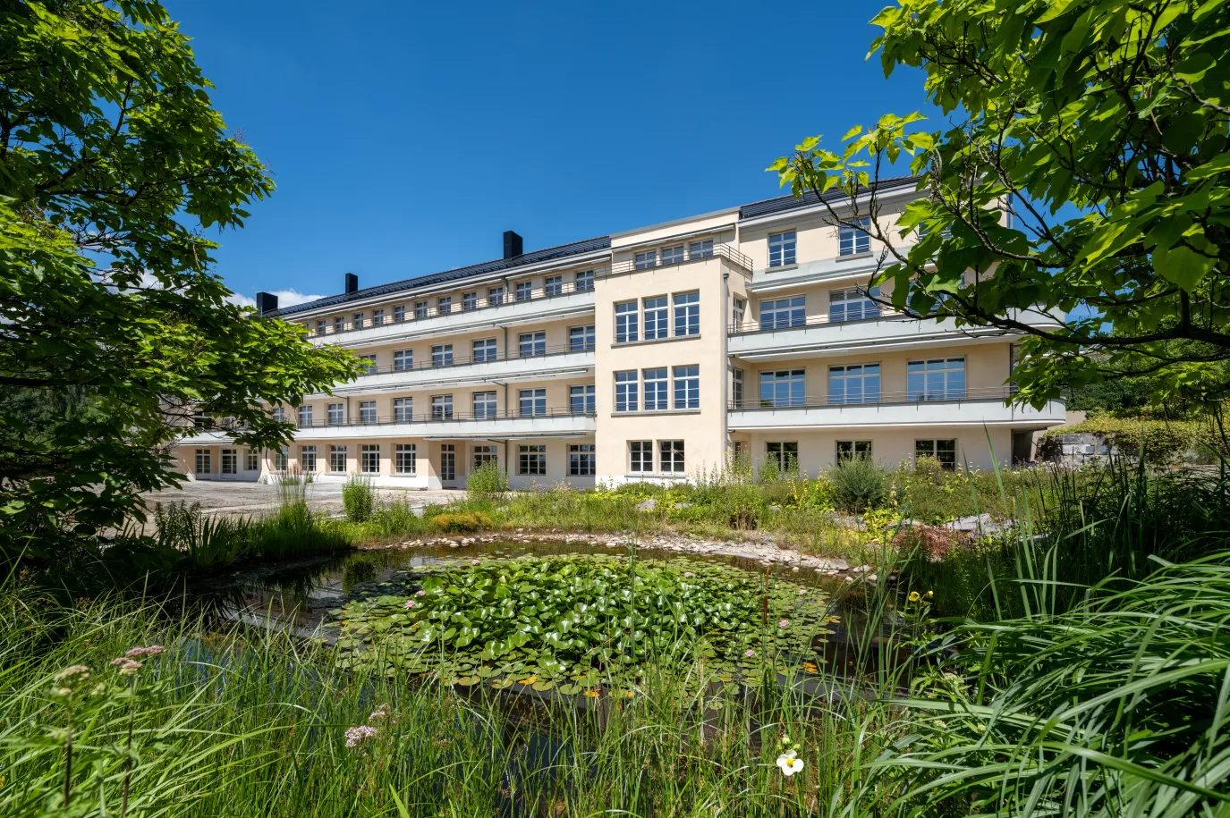 Tilia Standort Ittigen