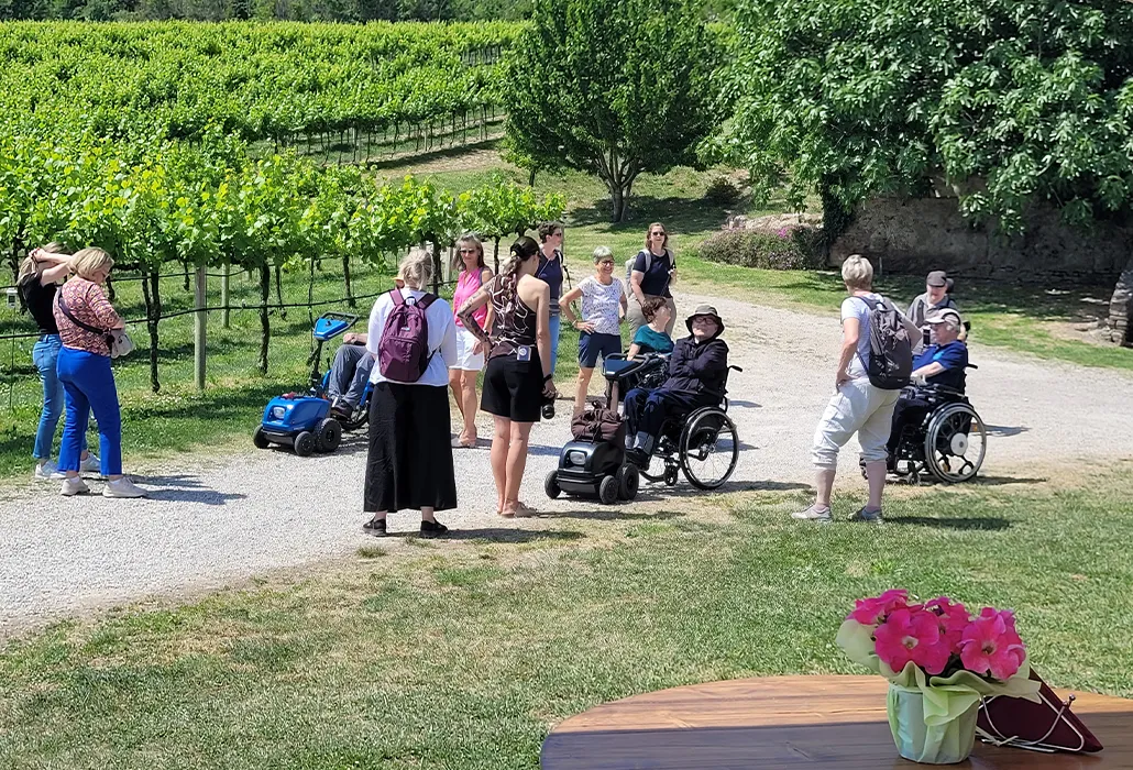 Eine Gruppe von Menschen mit und ohne Rollstuhl macht bei sonnigem Wetter eine Pause in einem grünen Rebberg – barrierefreier Ausflug, Inklusion und gemeinsames Naturerlebnis in einer Weinregion.