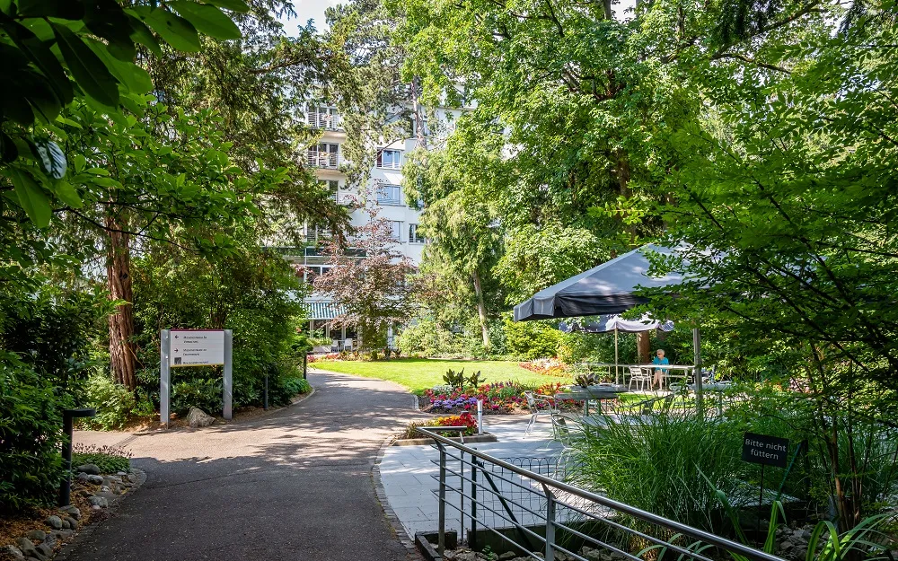 A lush, verdant garden with a wrought-iron gate and a paved walkway leading to a stone bench under a large tree.