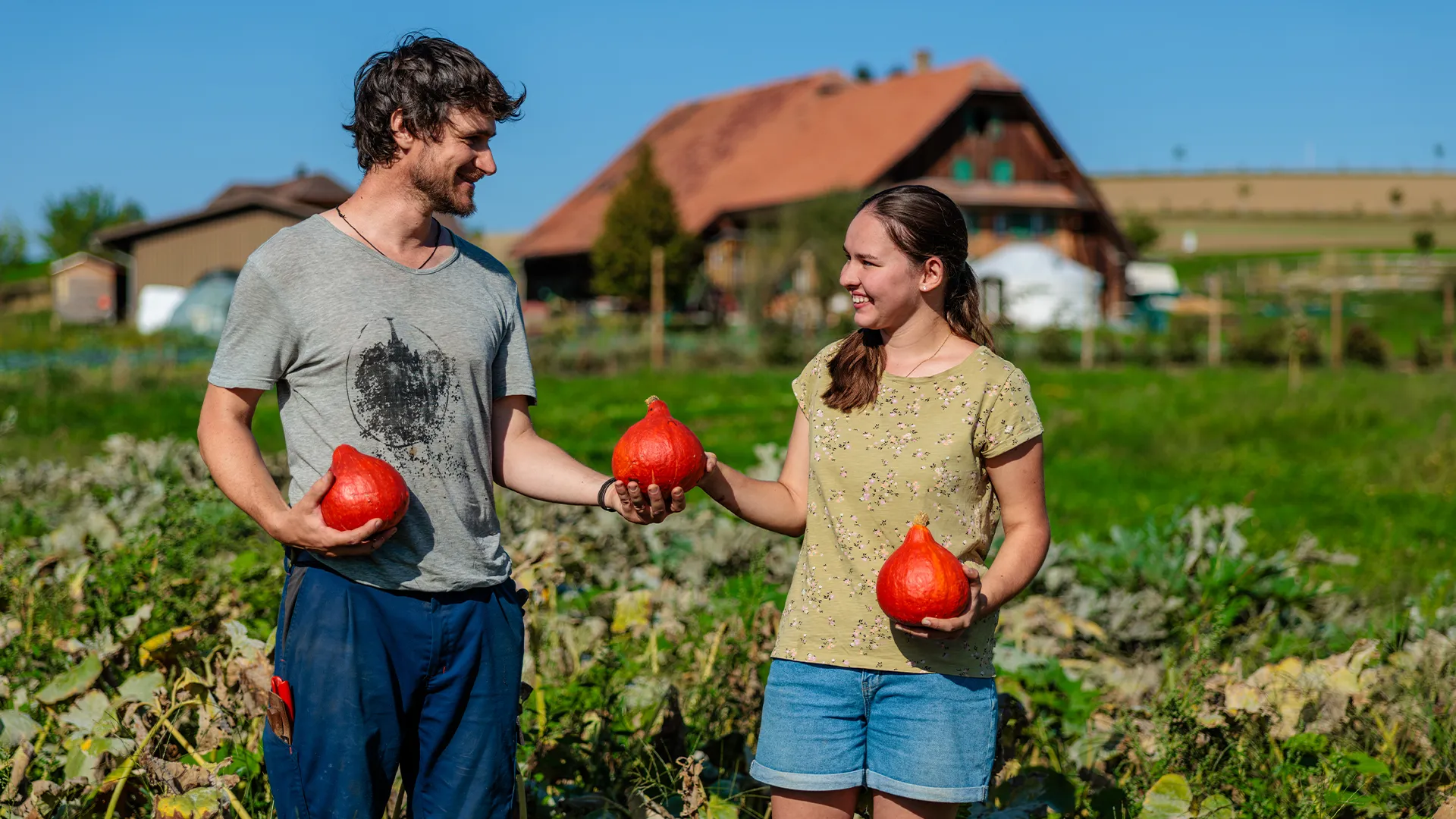 Two people, a man and a woman, standing in a field and holding pumpkins.