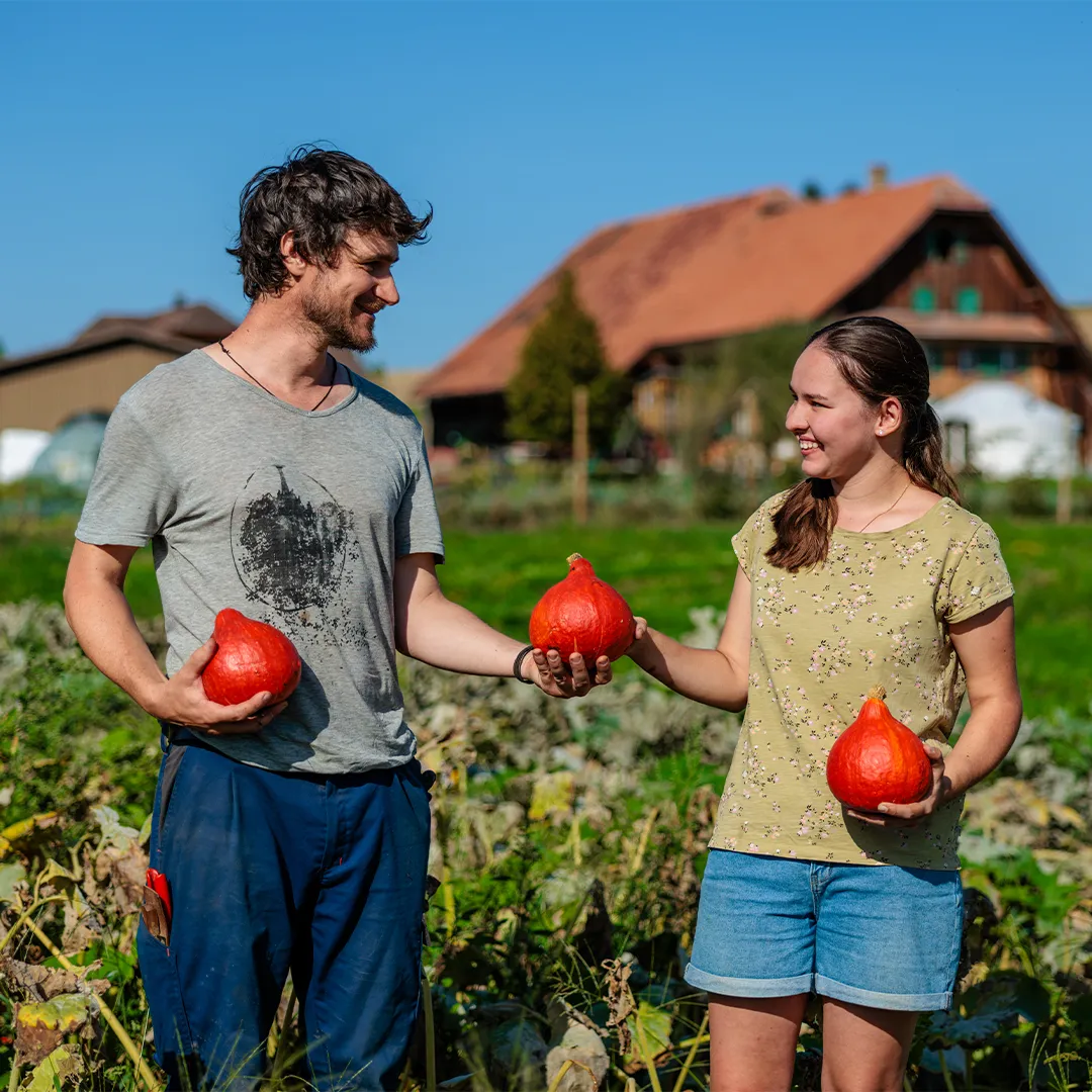 A young couple in casual clothing standing in a field holding red boxing gloves, with a rural scene in the background.