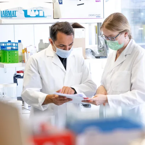 Educazione, ricerca e innovazione