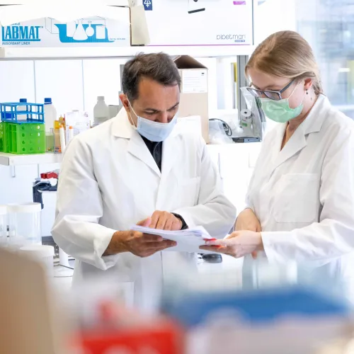 Education, research and innovation