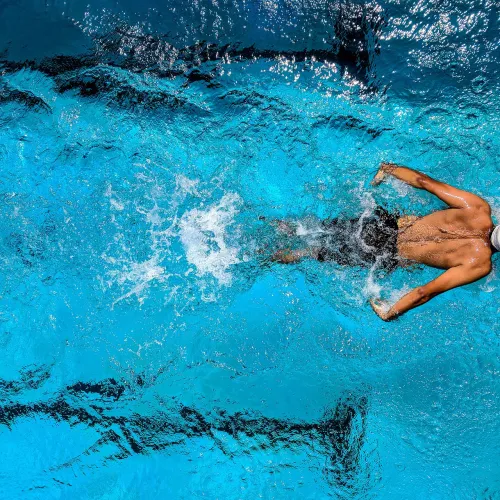 Schwimmer