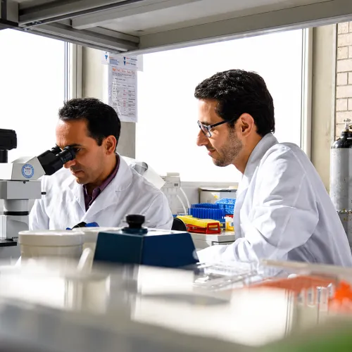 Two scientists in white lab coats working with microscopes in a laboratory