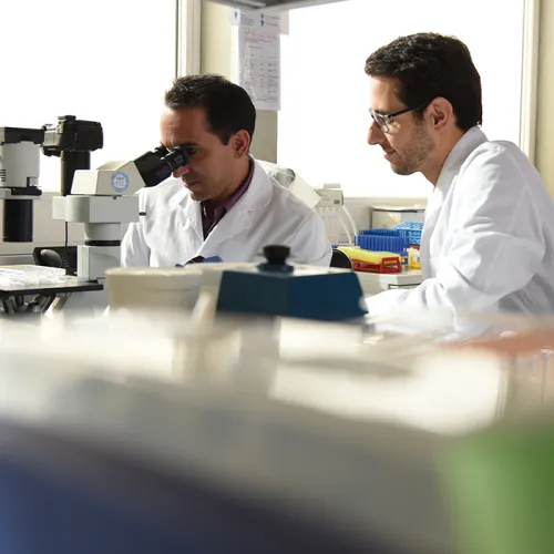 Biologie des Alterns Schweizer Paraplegiker-Forschung